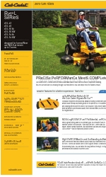 Cub Cadet RZT L 42 Specifiche tecniche