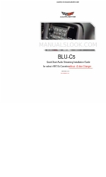 Discount Car Stereo BLU-C5 Installationshandbuch