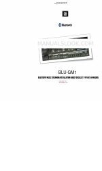 Discount Car Stereo BLU-GM1 Installationshandbuch