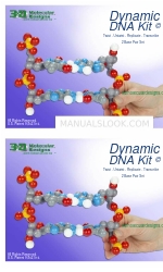 3D Molecular Designs Dynamic DNA Kit Podręcznik