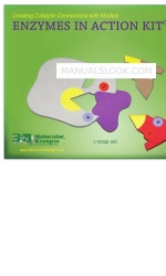 3D Molecular Designs ENZYMES IN ACTION KIT 1-Group Set Manuel