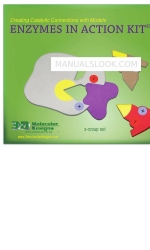 3D Molecular Designs ENZYMES IN ACTION KIT 3-Group Set Manuale