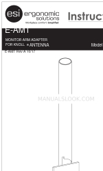 ESI E-AMT Instructions