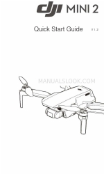 dji Mini 2 Manual de inicio rápido