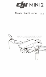 dji Mini 2 Manual de inicio rápido