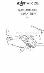 dji Air 2S Manual de inicio rápido