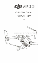 dji Air 2S Manual de inicio rápido