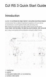 dji P11C Manual de início rápido