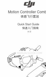 dji Motion Controller Combo 빠른 시작 매뉴얼