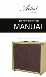 Artist Guitars TWEEDTONE20R Manual