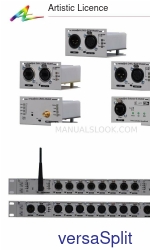 Artistic License vSplit duo xlr5-5-xlr5 User Manual