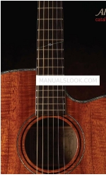 Alvarez Artist Series AD410 Brochure