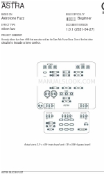 aion ASTRA SILICON FUZZ Manual