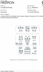 aion HADRON DYNAMIC OVERDRIVE Manuale