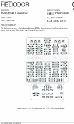 aion HELIODOR AMP OVERDRIVE Manuale