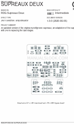 aion RUNOFFGROOVE SUPREAUX DEUX Manuale