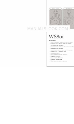 Blue Aura WS8oi Manual