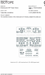 Aion Electronics Isotope Руководство