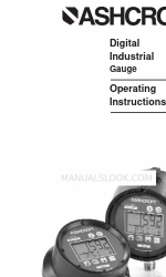 Ashcroft 2274  XAO Manuale di istruzioni per l'uso