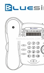 Bluesim A2DP Gebrauchsanweisung