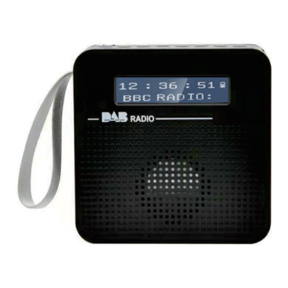 DAB RADIO SY-8800 ユーザーマニュアル