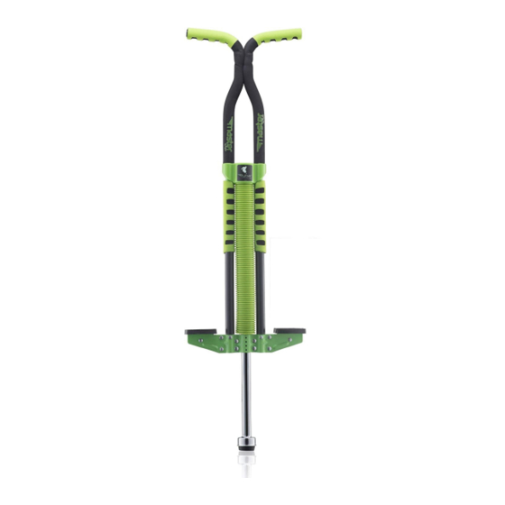 Flybar Master Pogo Stick Руководство пользователя