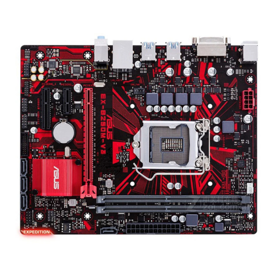 Asus EX-B250M-V3 Handmatig