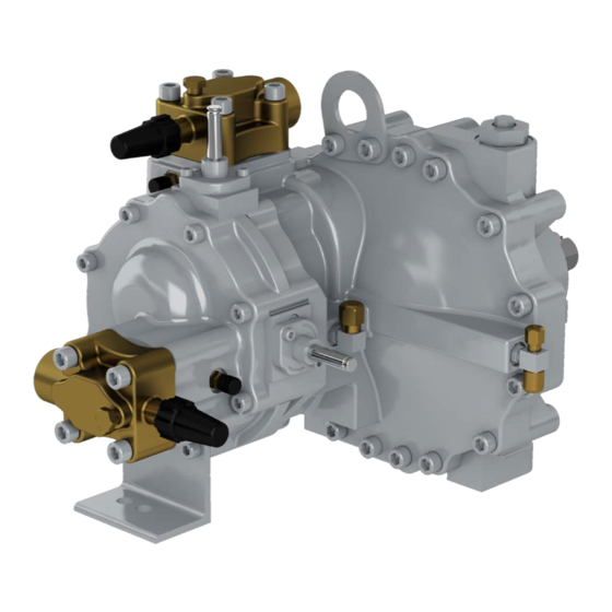 Carlyle 06TAE038C2EA Руководство по применению