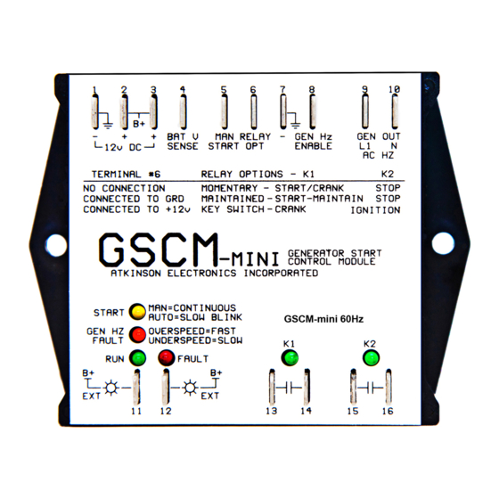 Atkinson Electronics GSCM-MINI Podręcznik