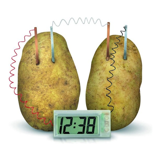 4M Green Science Potato Clock Podręcznik