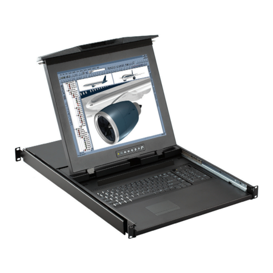 Austin Hughes CyberView D117 Manuale d'uso