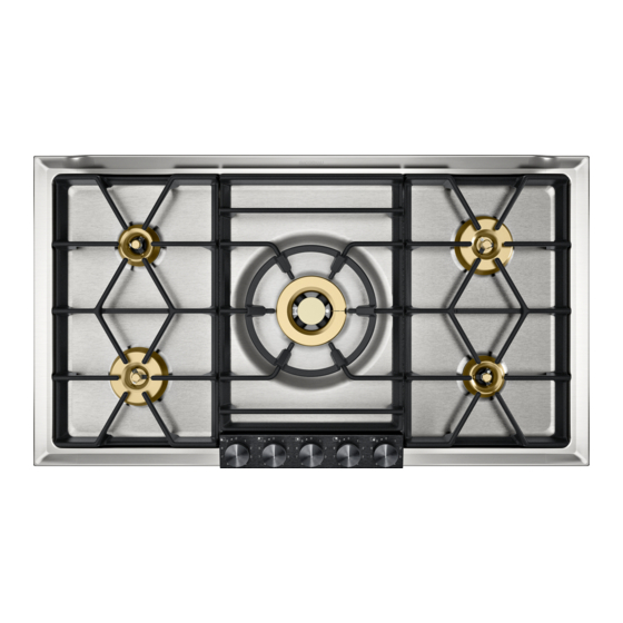 Gaggenau VG 295 220 CA Manual de uso y mantenimiento