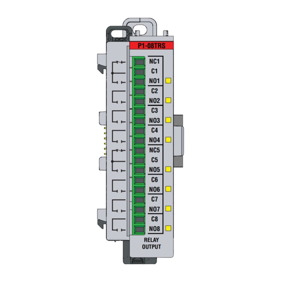 Automationdirect.com Productivity 1000 P1-08TRS Handbuch