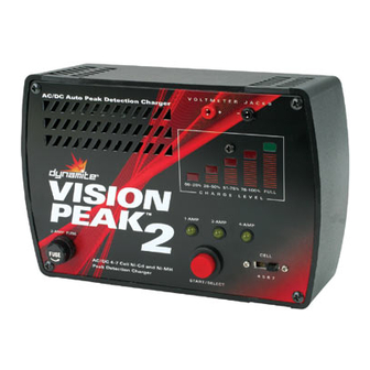 Dynamite Vision Peak 2 Manual de instrucciones