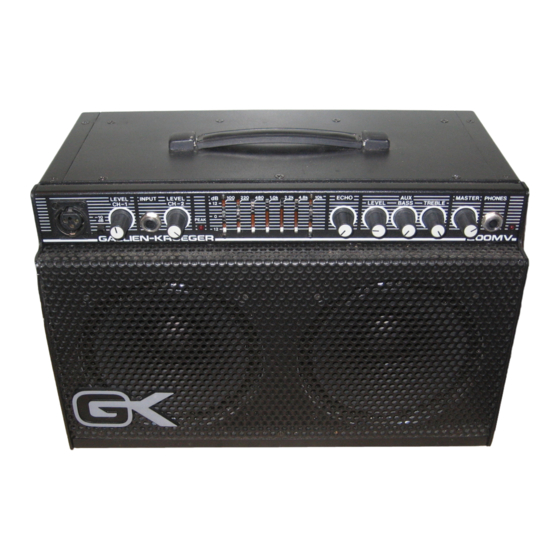 Gallien-Krueger 200MV 사용 설명서