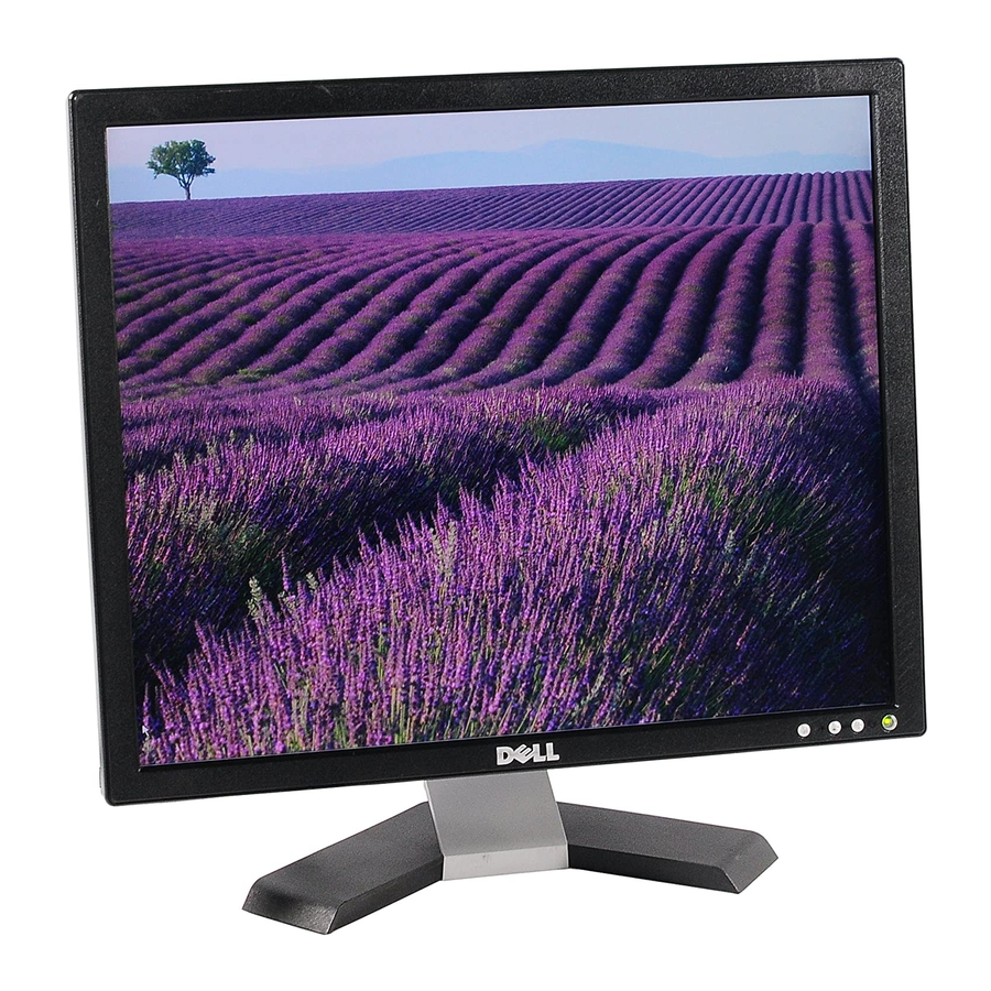 Dell E197FP Specifiche tecniche