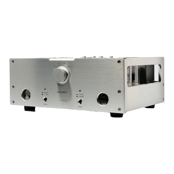 ALLNIC AUDIO H-3000V Manuale d'uso