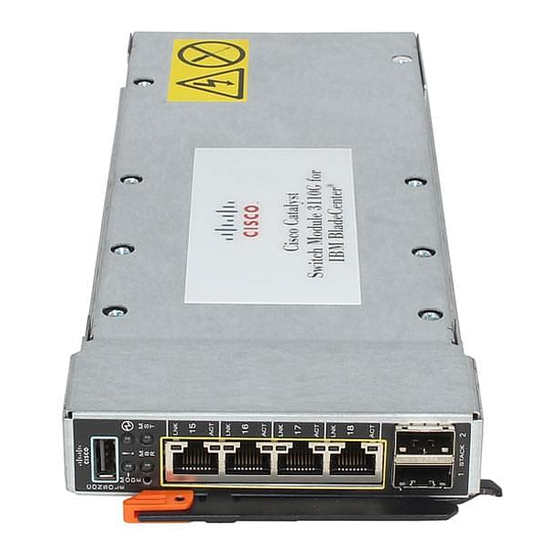 Cisco Catalyst 3110G Manual suplementar