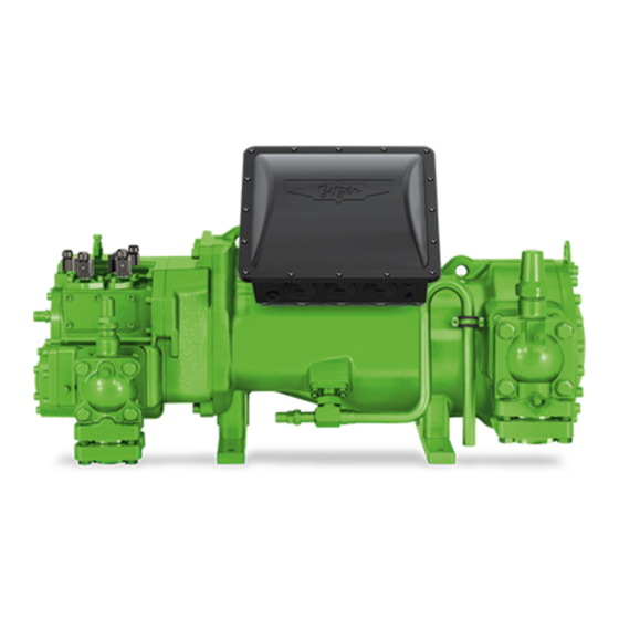 Bitzer CS.65 Panduan Petunjuk Pemeliharaan