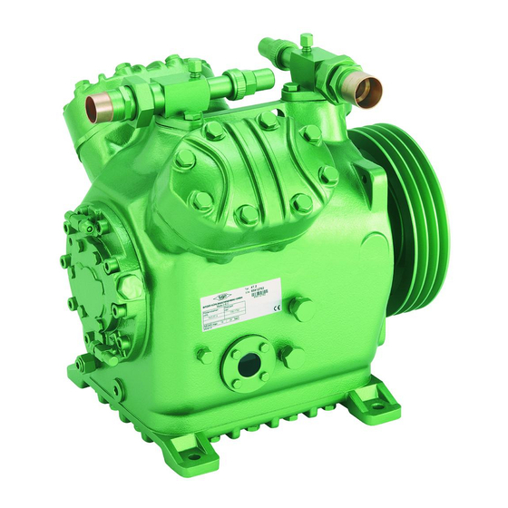 Bitzer W2NA Series Bakım Talimatları Kılavuzu