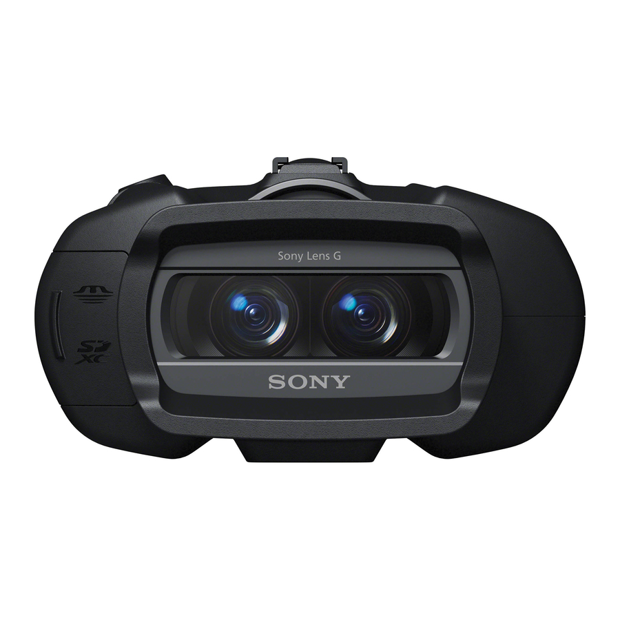 Sony DCR-DVD650 - Hybrid Dvd Camcorder 限定保証