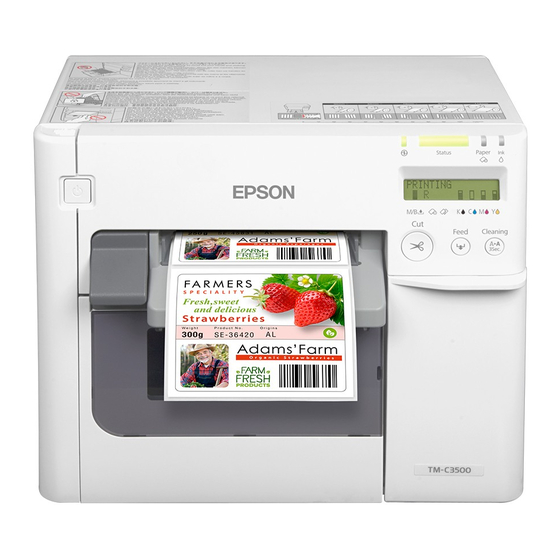 Epson ColorWorks C3500 Руководство по настройке
