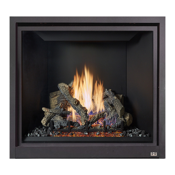 FireplaceXtrordinair ProBuilder 42 GSB2 Handbuch