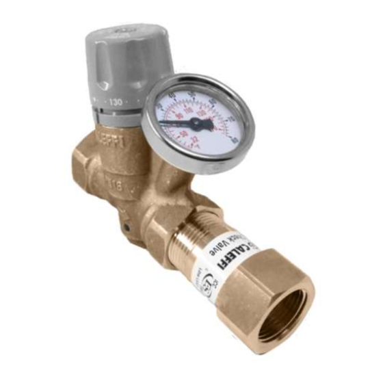 CALEFFI ThermoSetter 116010 Instruções de instalação, colocação em funcionamento e manutenção