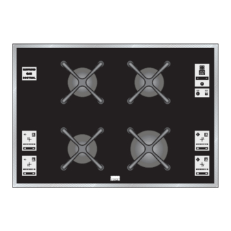 Zanussi ZGG 743 EX Talimat Kitapçığı