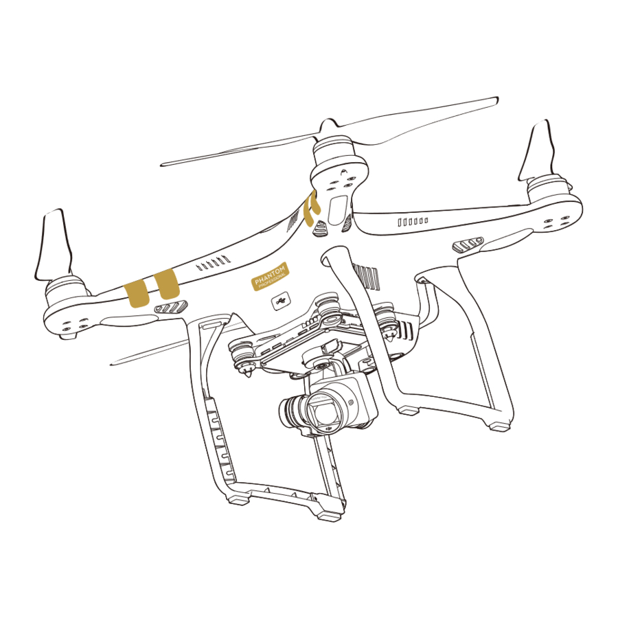 dji PHANTOM 3 PROFESSIONAL Schnellstart-Handbuch