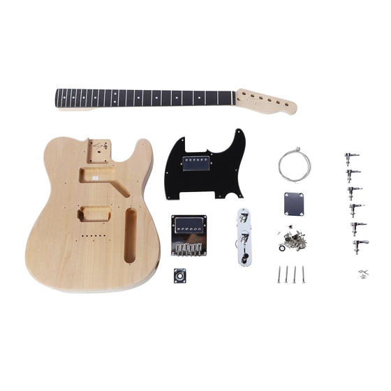 Artist Guitars TL DIY KIT マニュアル