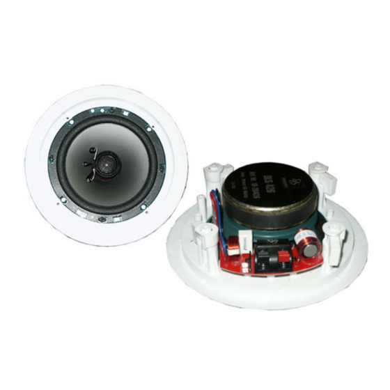 DLS HOME AUDIO IW125i Краткое руководство по эксплуатации